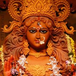 MAA