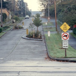 Chicane