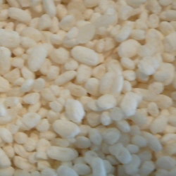 KOJI
