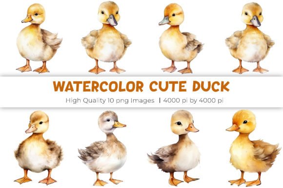 Watercolor Duck Clipart Collection