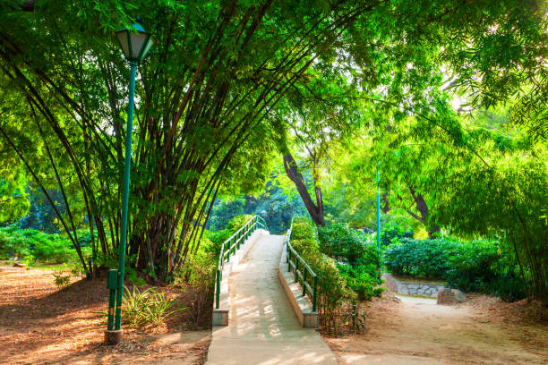 PARK