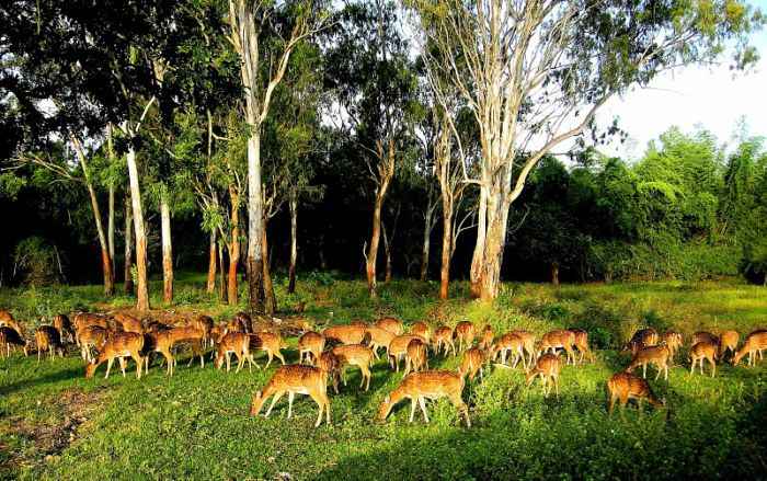 WILDLIFE SANCTUARY