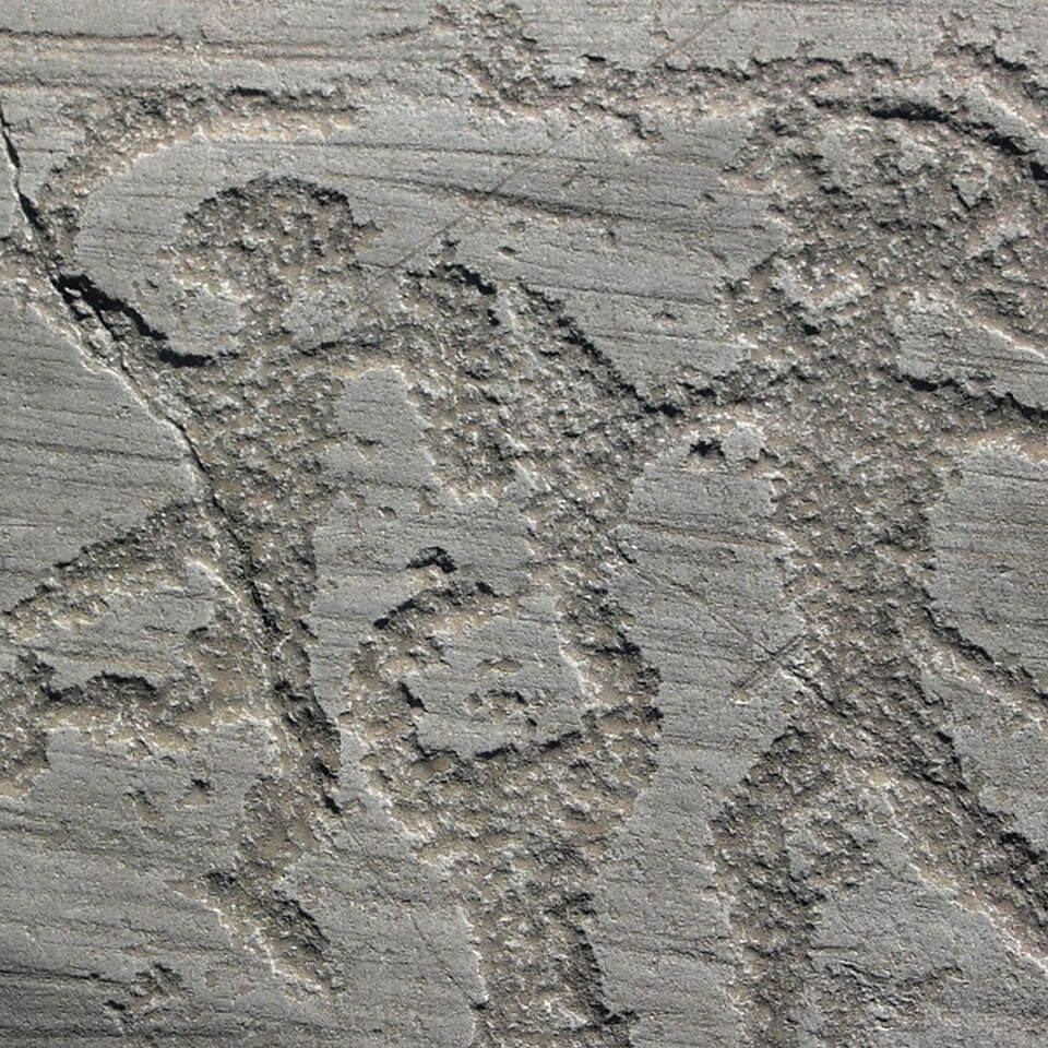 Visite guidée des gravures rupestres