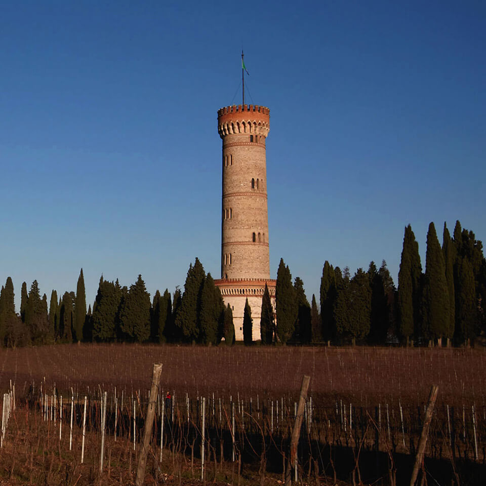 Visita guidata Torre e Museo di San Martino della Battaglia