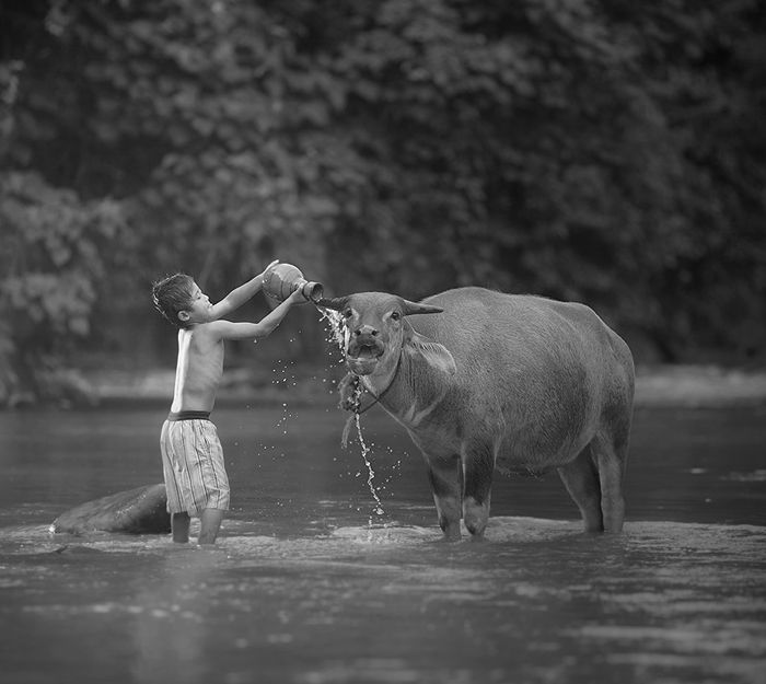 Успокаивающие фотографии Асита (73 фото) Успокаивающие фотографии Асита (73 фото)