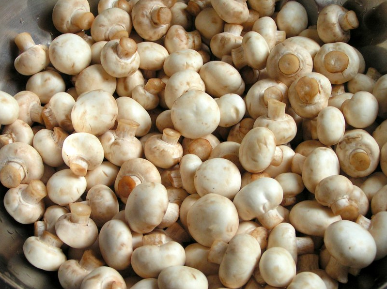 prostye-marinovannye-shampinony-v-domashnix-usloviyax-na-zimu-1