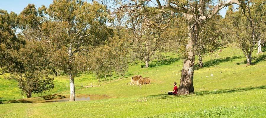 Mindful Yoga Camp Respite