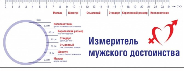 Величина полового органа никак не влияет на качество секса.