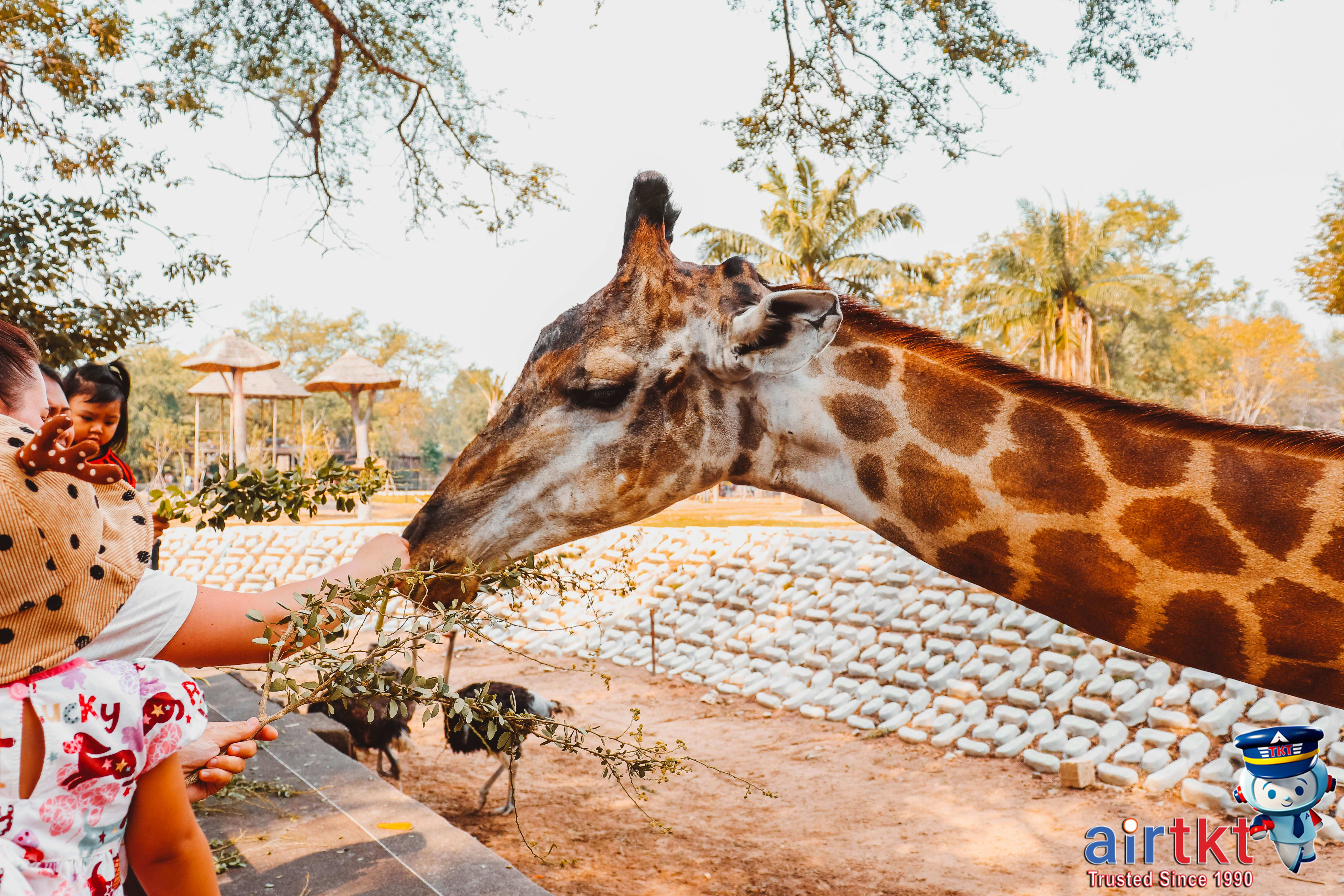 Family exploring Costa Rican rainforest on a guided eco-tour