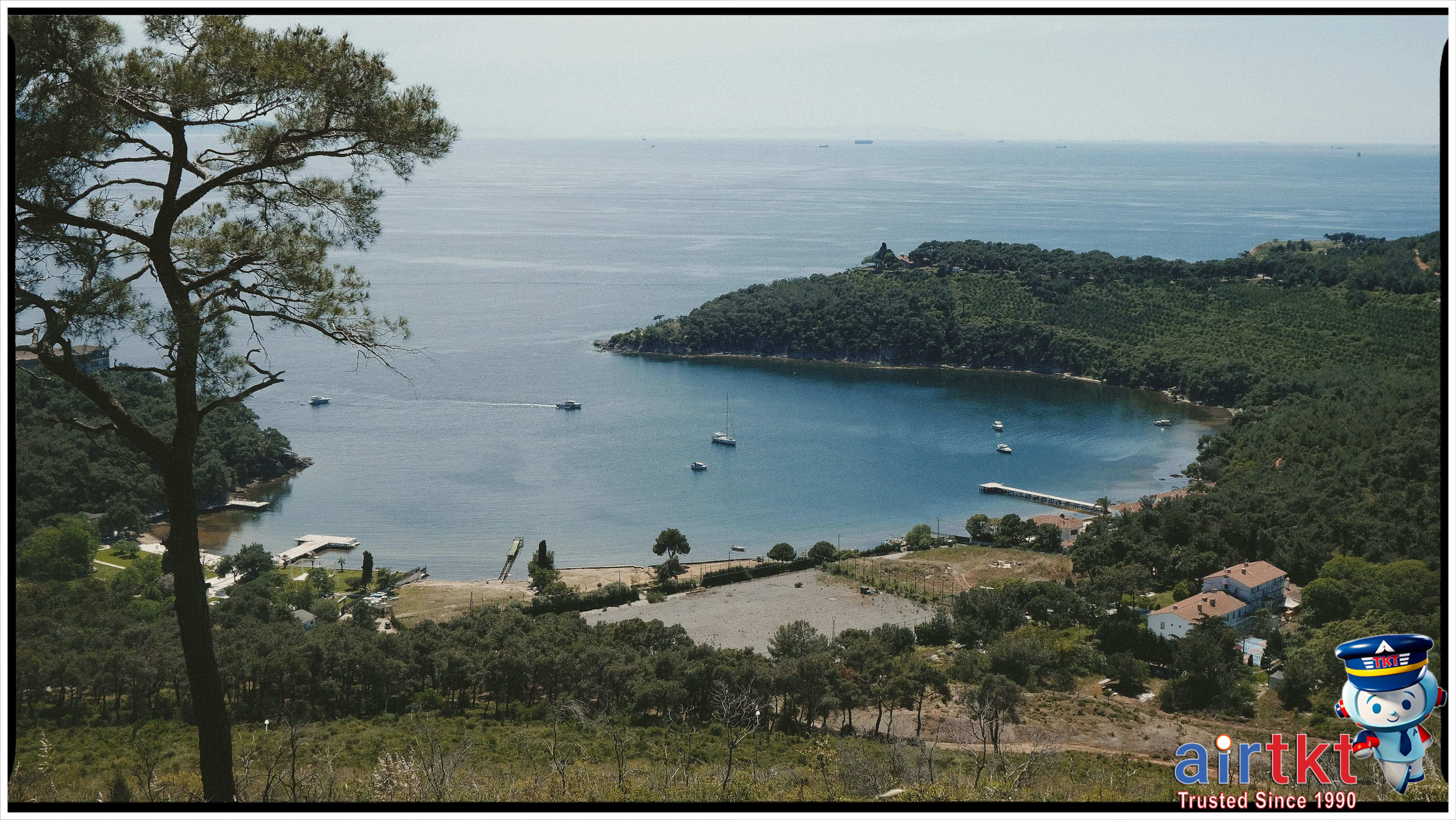 Marlborough Sounds coastal view with forested hills and water