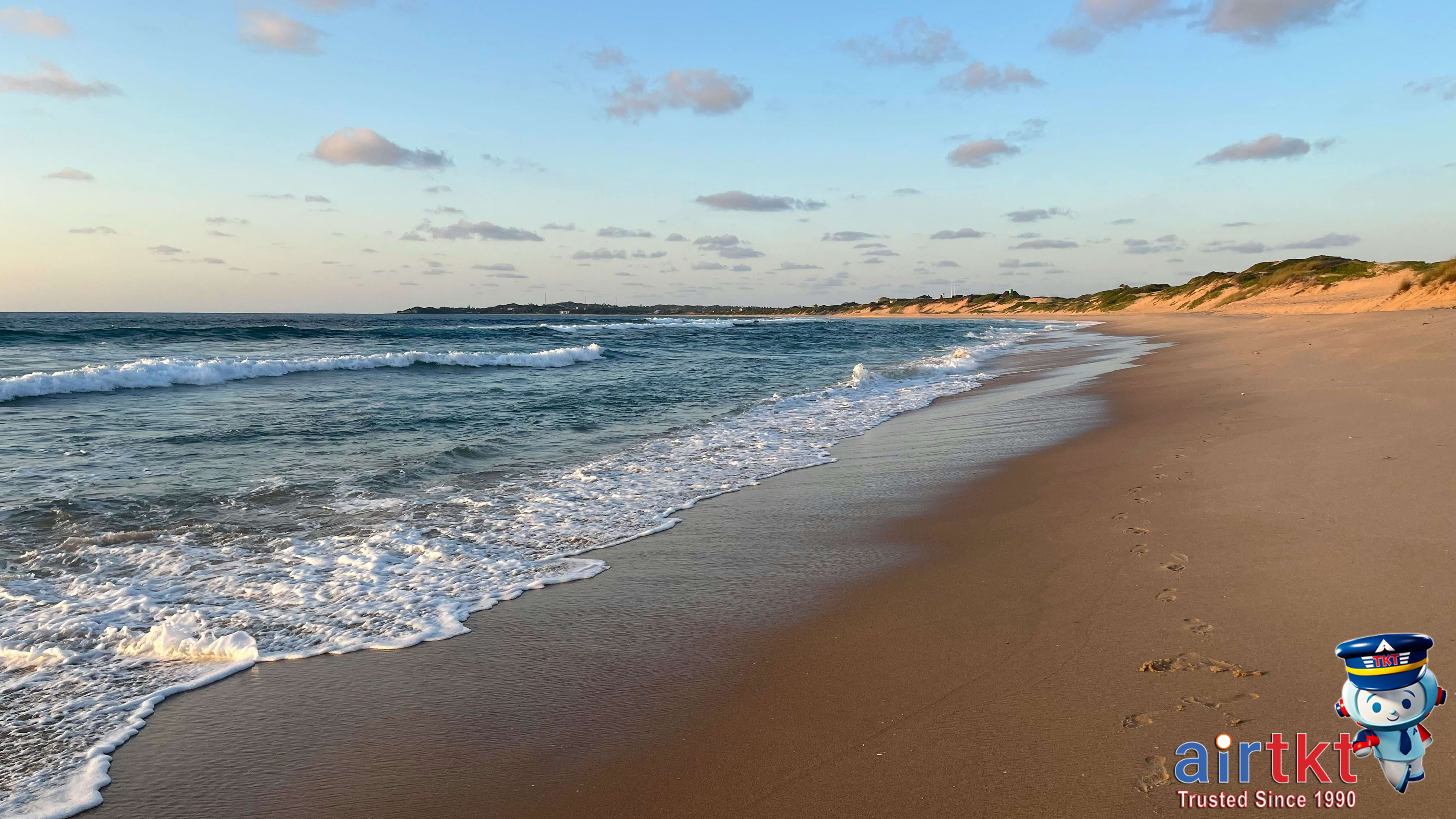 Mozambique pristine beach with turquoise water and palm trees