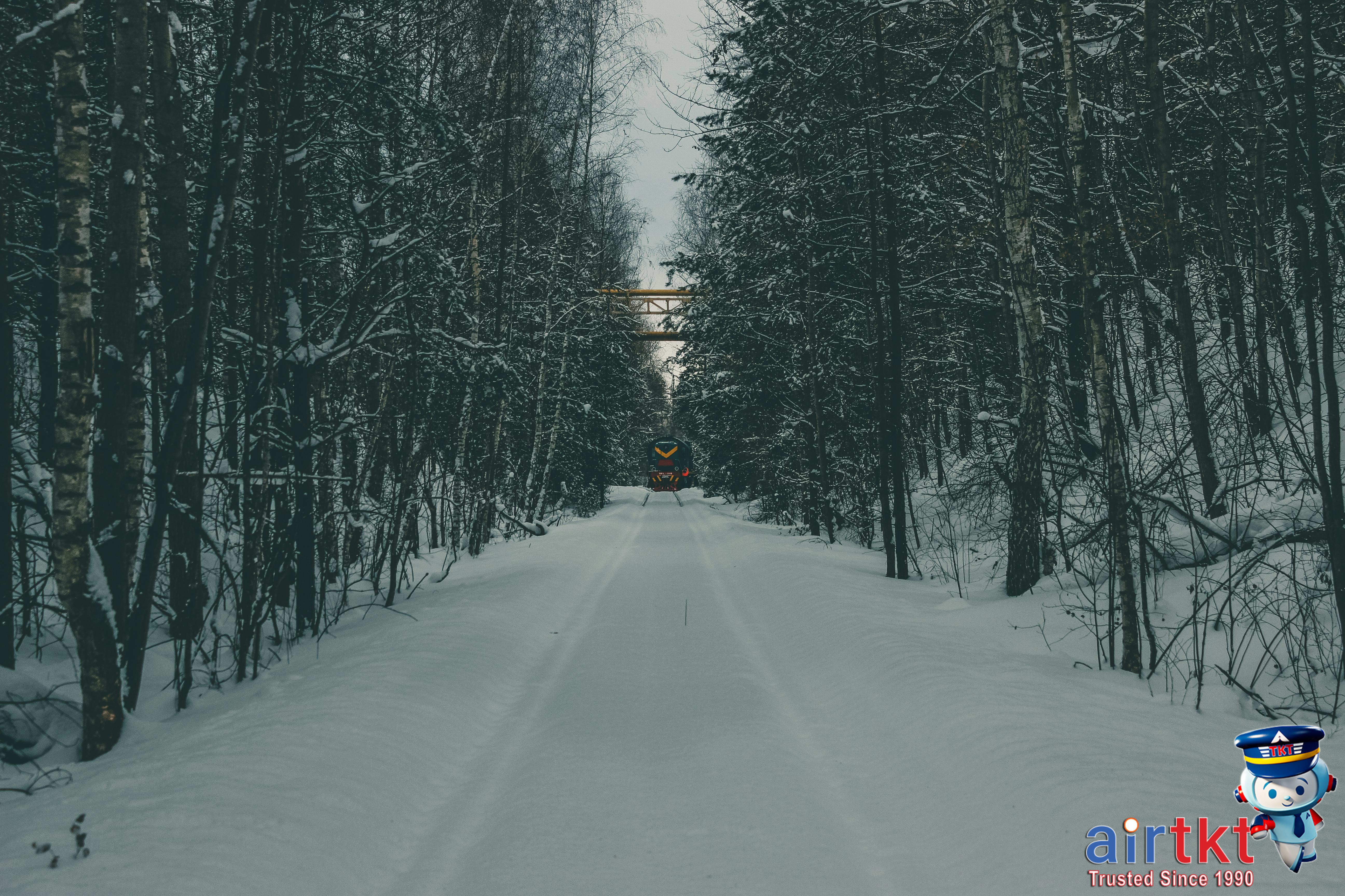 Train crossing a lush green forest on the Trans-Siberian Railway