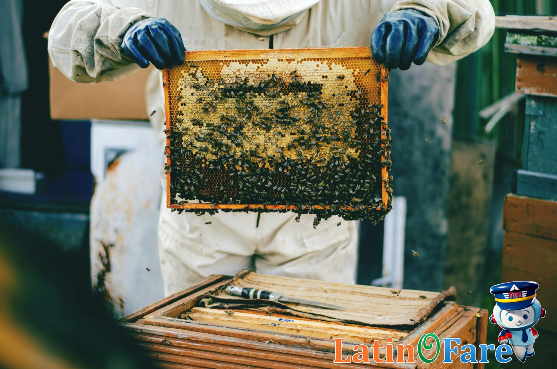 Traveler communicating with a local using gestures