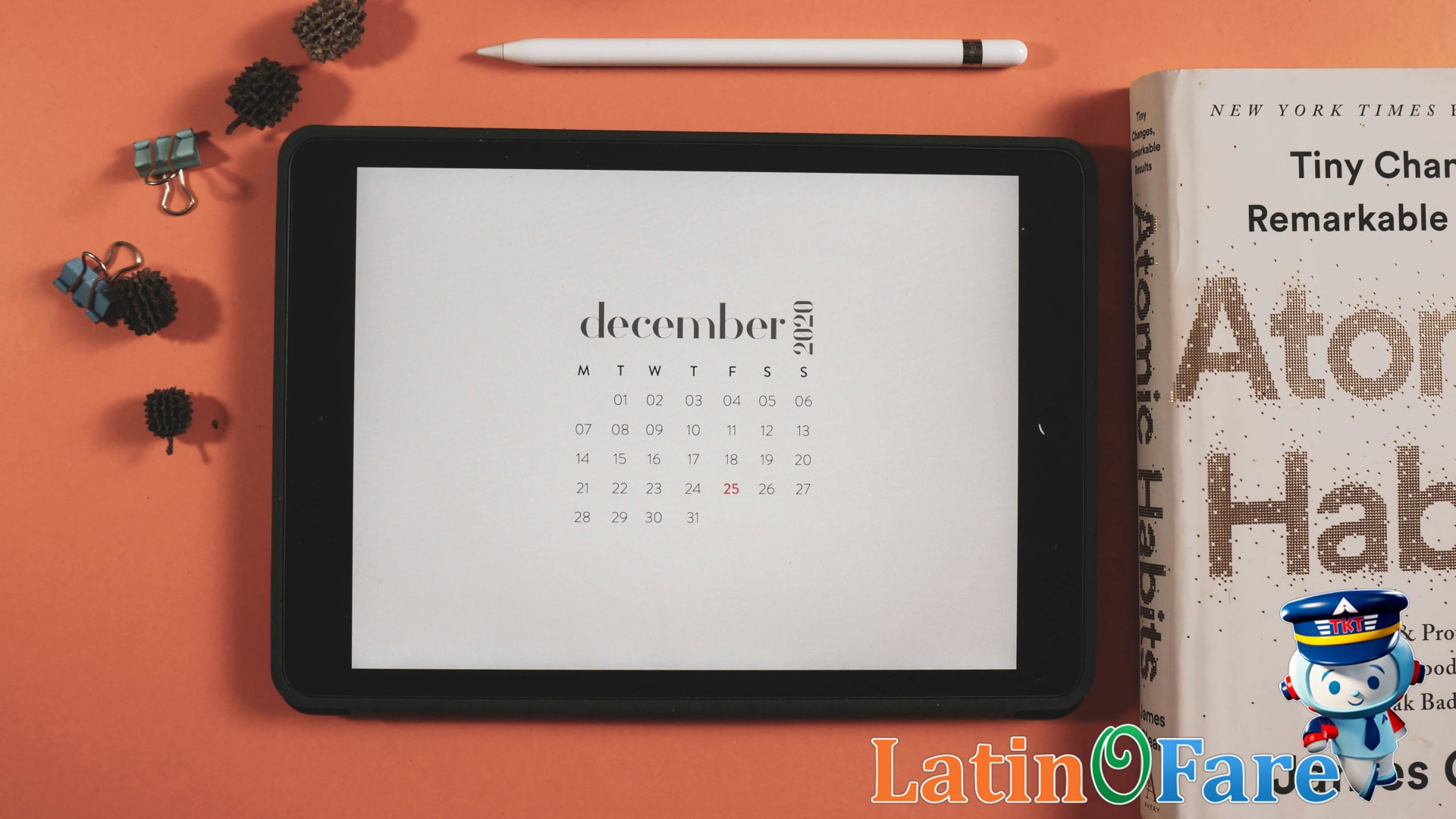 Holiday travelers at an airport during MLK Weekend