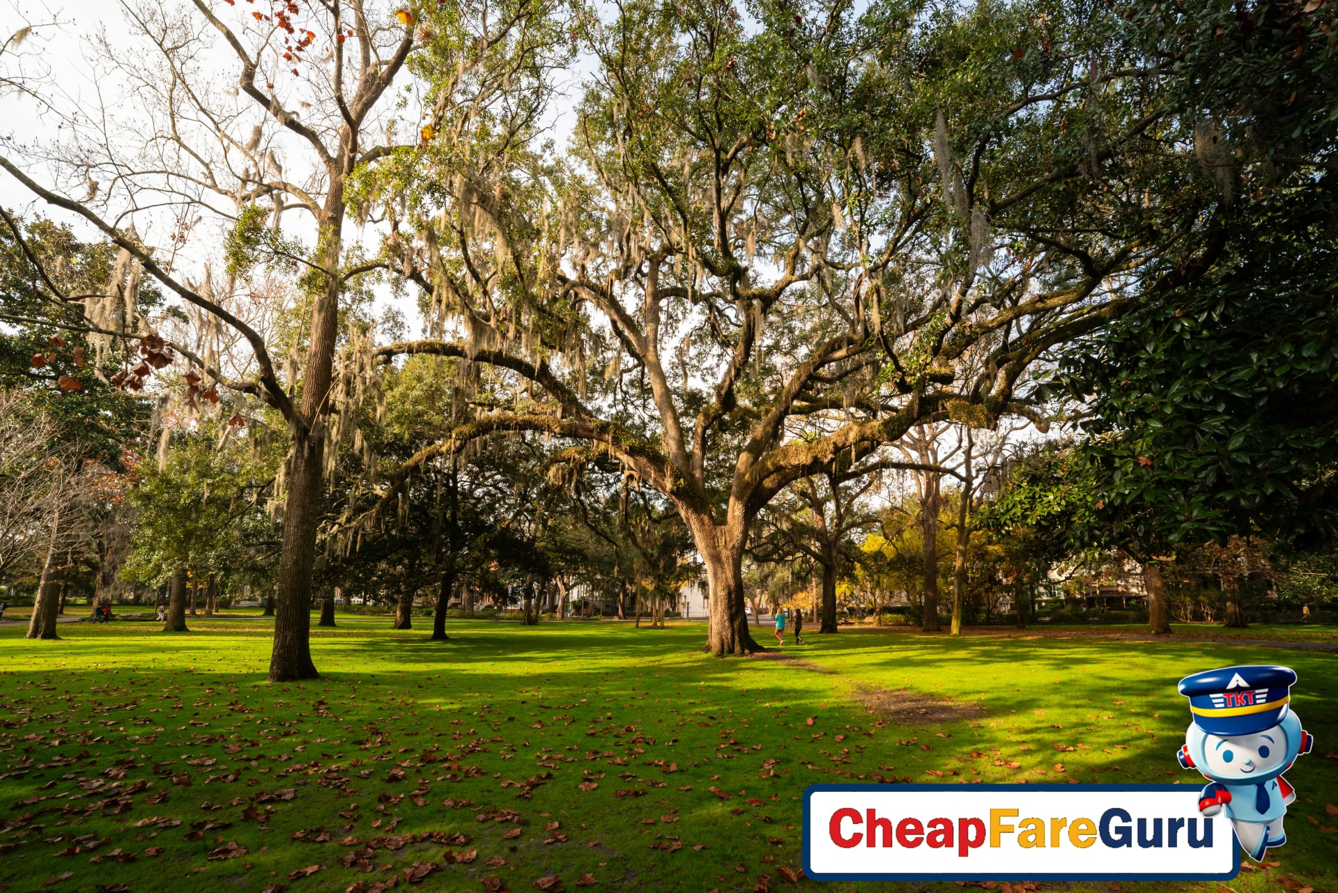Forsyth Park fountain and greenery in Savannah