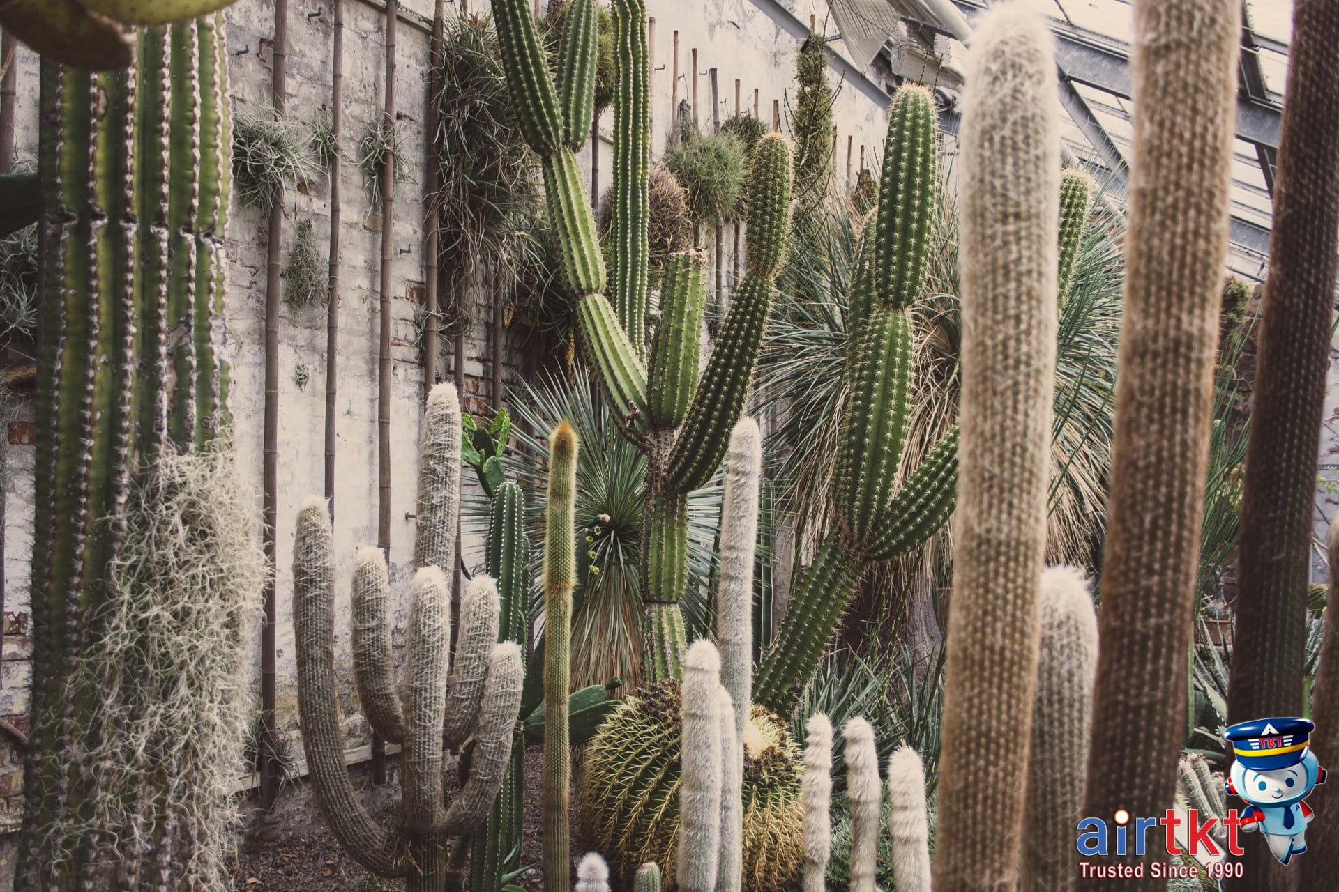 Desert Botanical Garden greenhouse