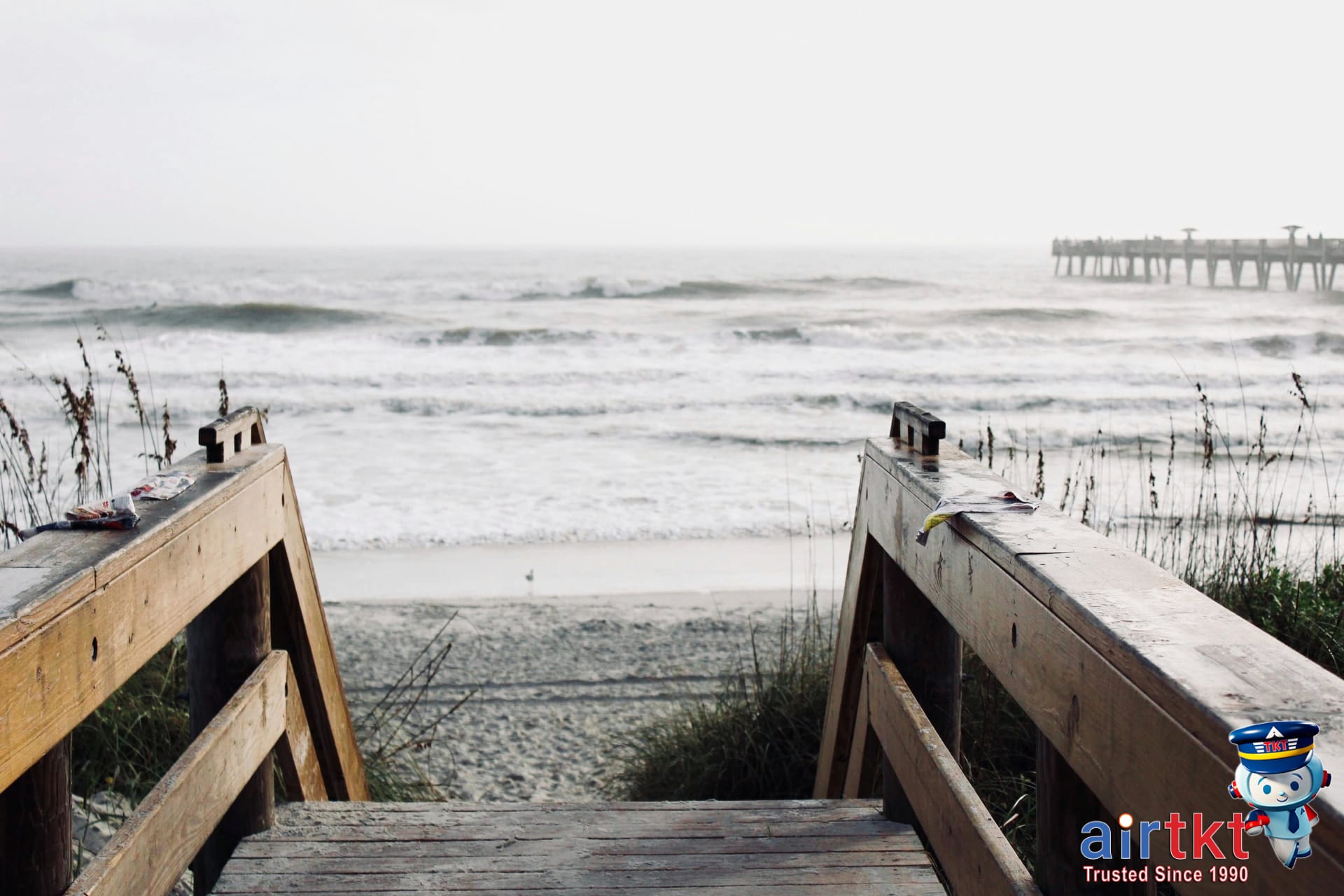 People enjoying Jacksonville neighborhoods with cultural and fun activities