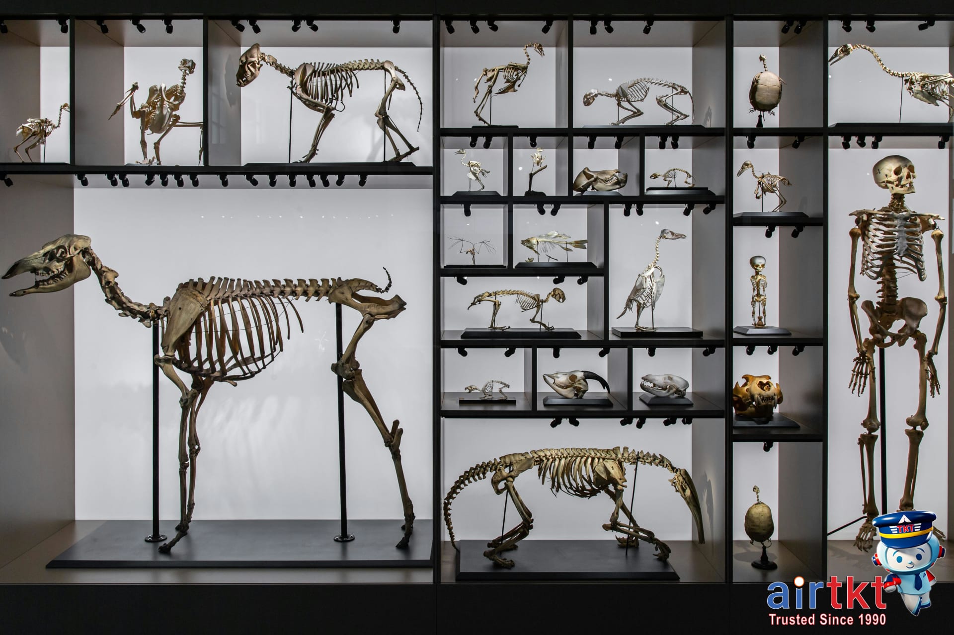Visitors enjoying a sunlit park area in Jacksonville