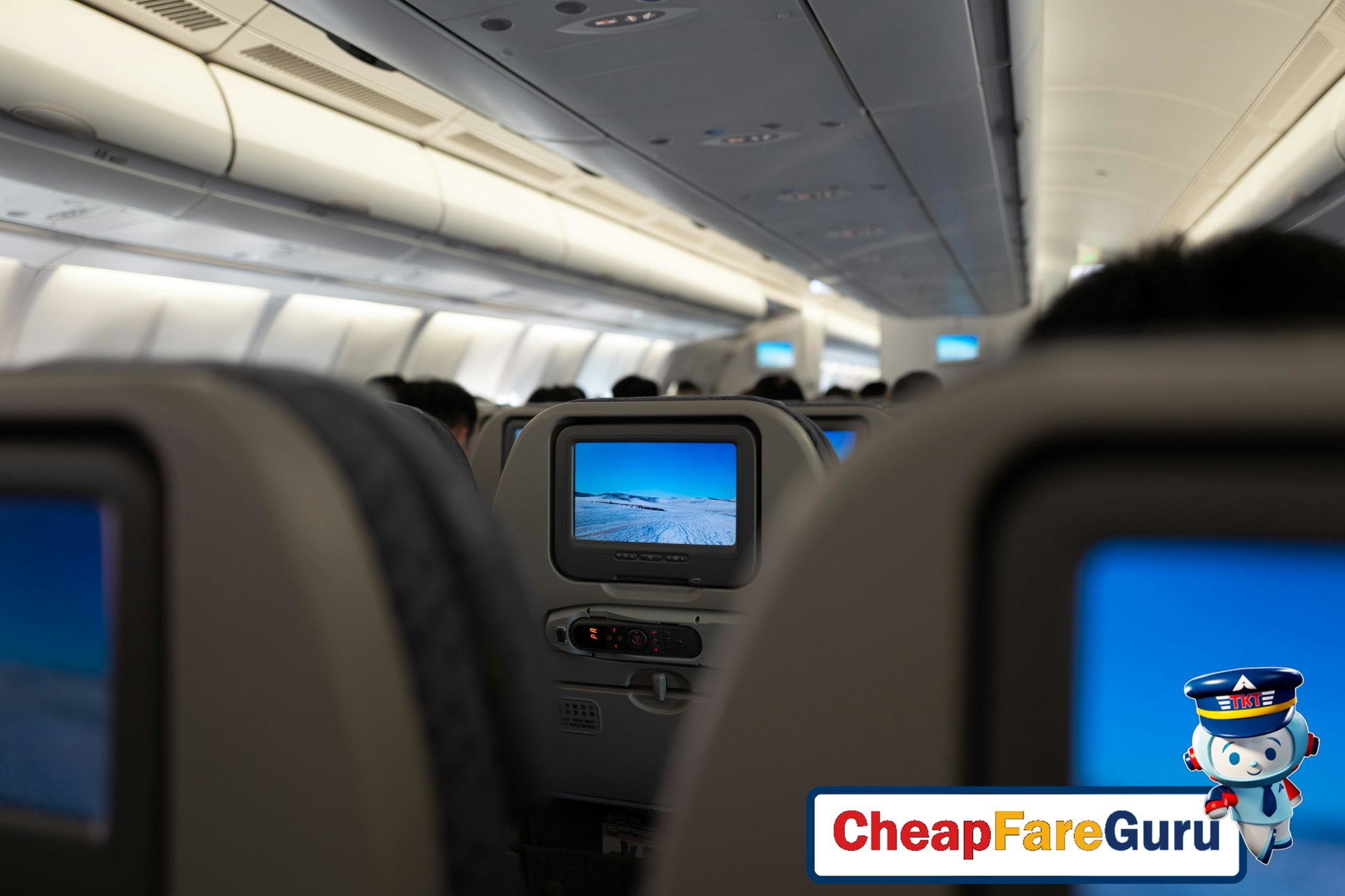 Emirates airplane in the sky