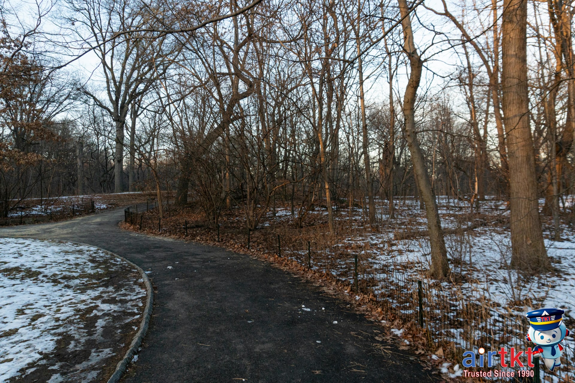 Snow-covered pathway in a Syracuse park during winter