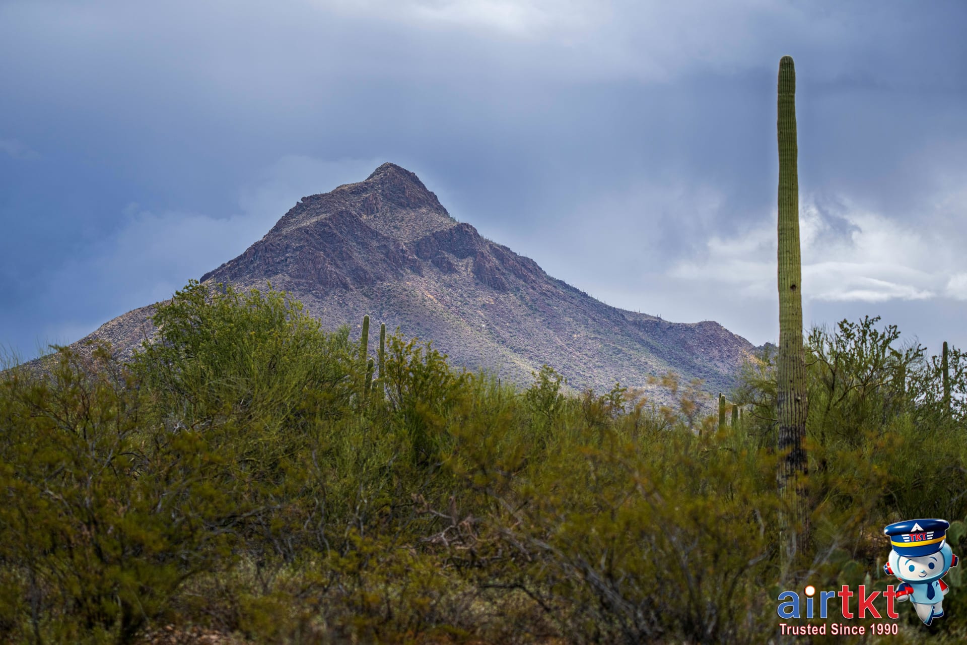 Tucson Sun Link streetcar and bus stop