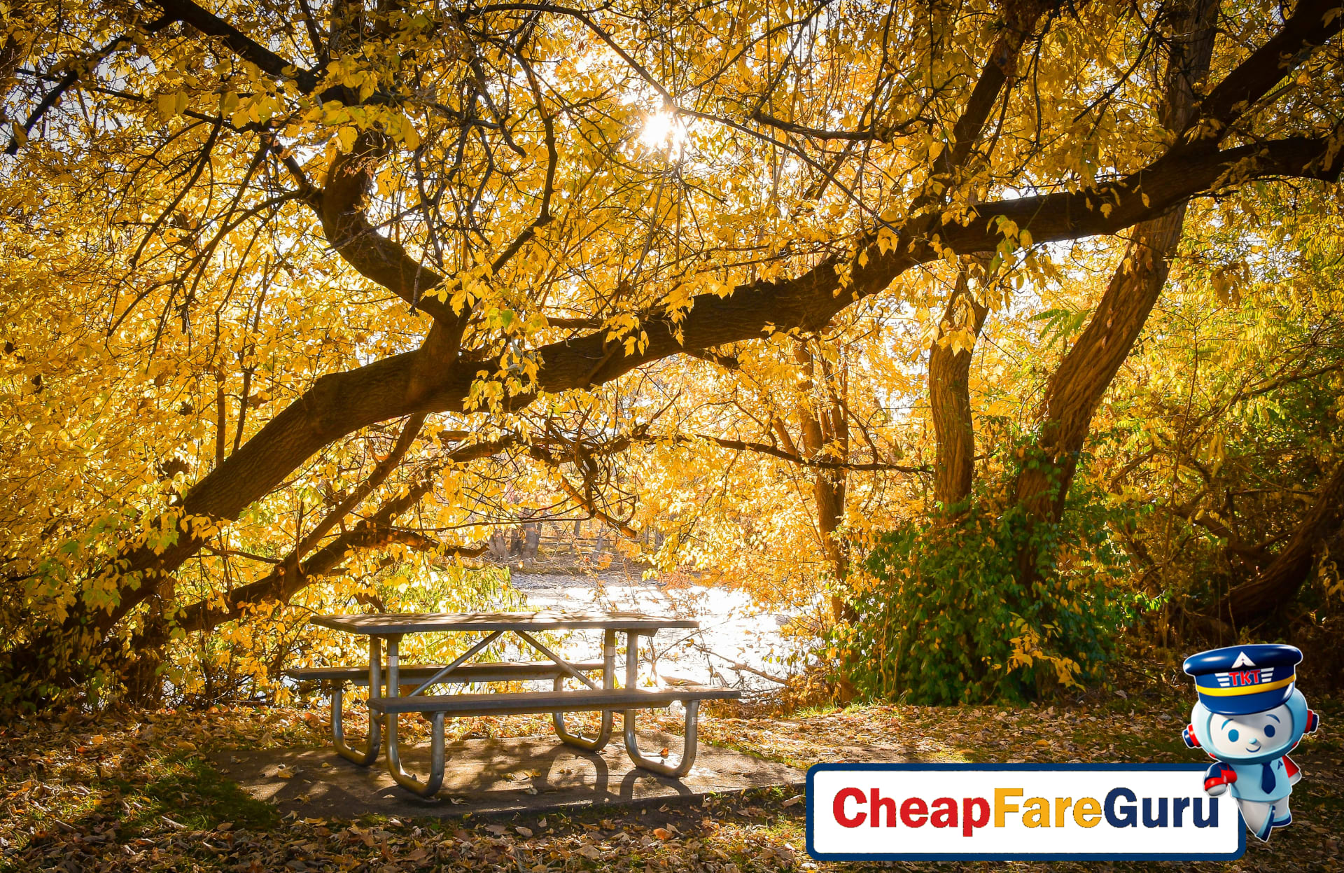 Boise cityscape with mountains in the distance