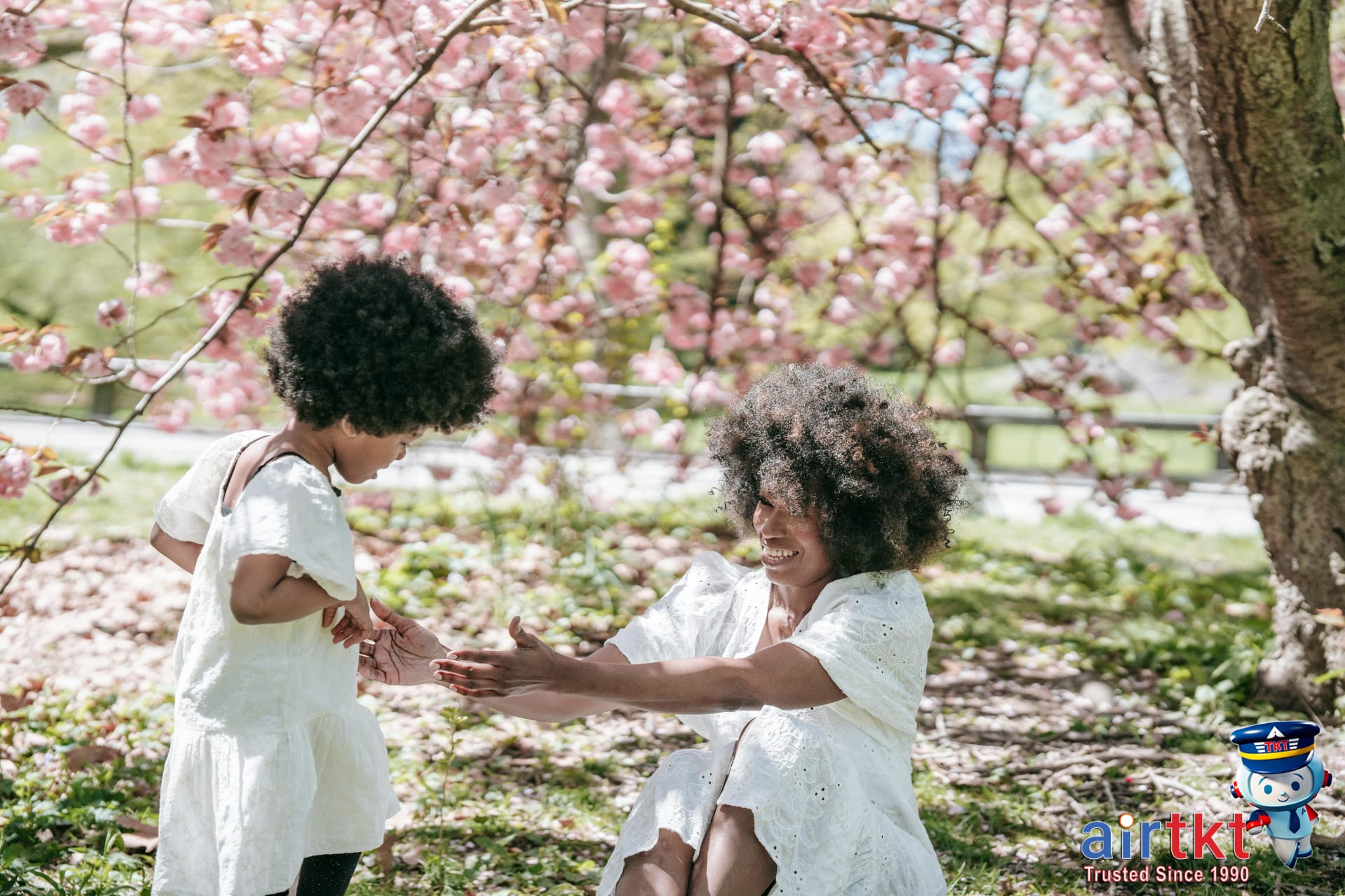 Cherry blossom picnic at Washington's Tidal Basin
