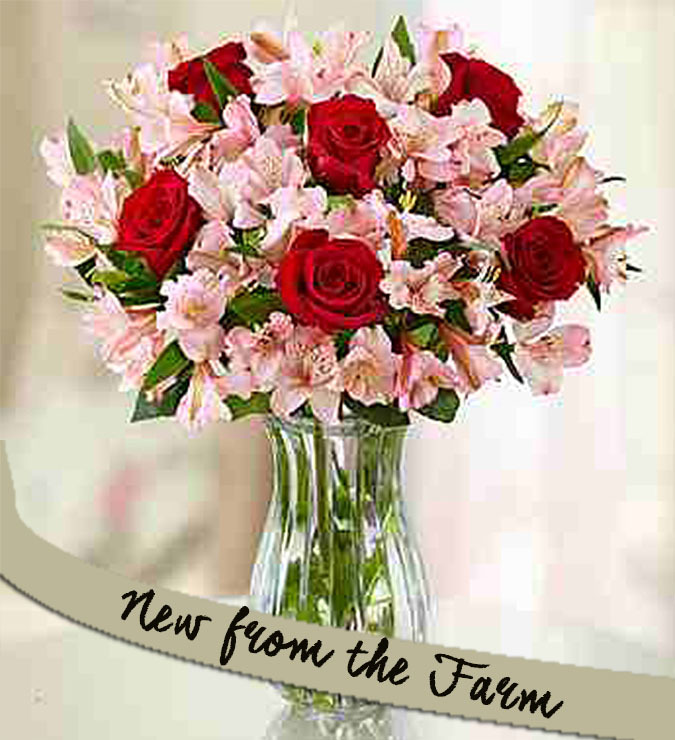 Valentines Day Flowers Delivery to Philippines Send Valentines Day