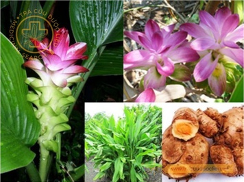 Hình ảnh liên quan