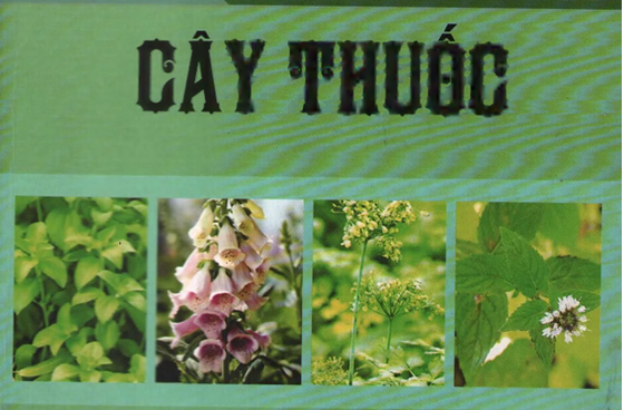 Ảnh Banner Bài viết