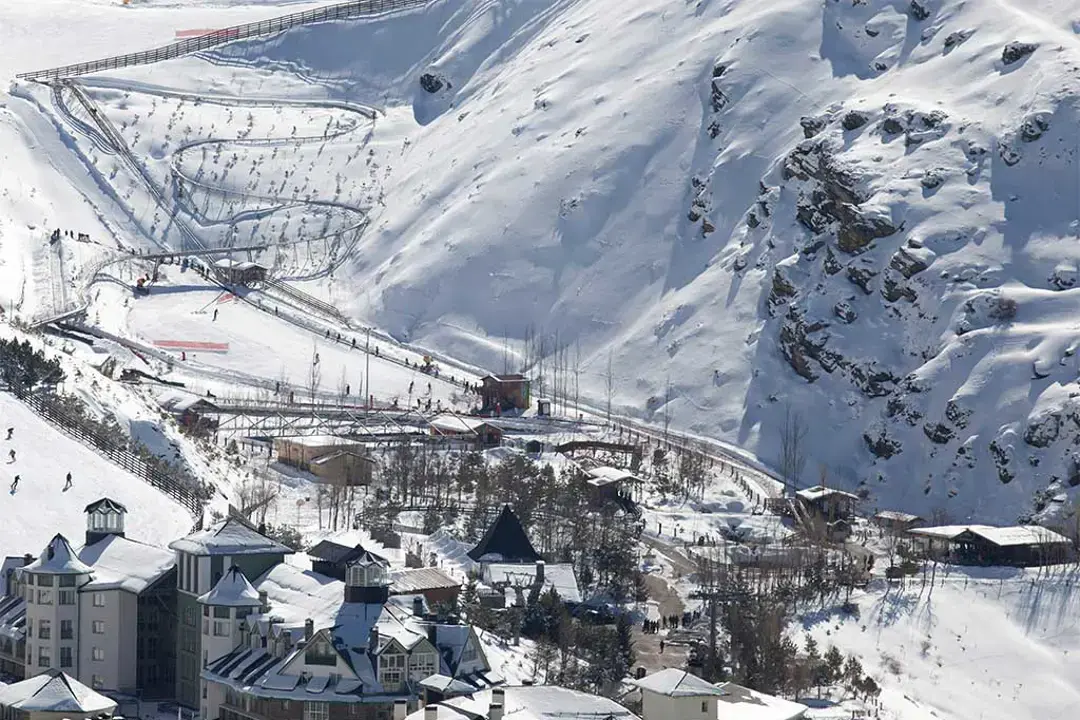 Imagen principal de Mirlo Blanco