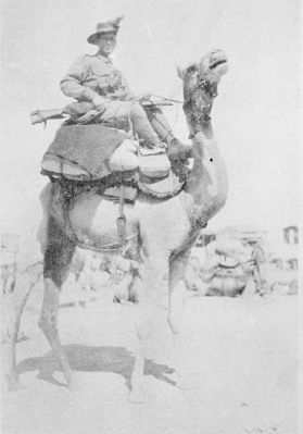 Photo of Andrew Louden