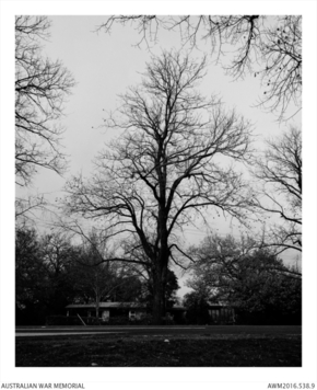 Photo of George Greenwood