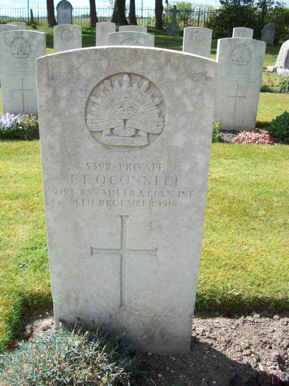 Photo of Thomas O'Connell