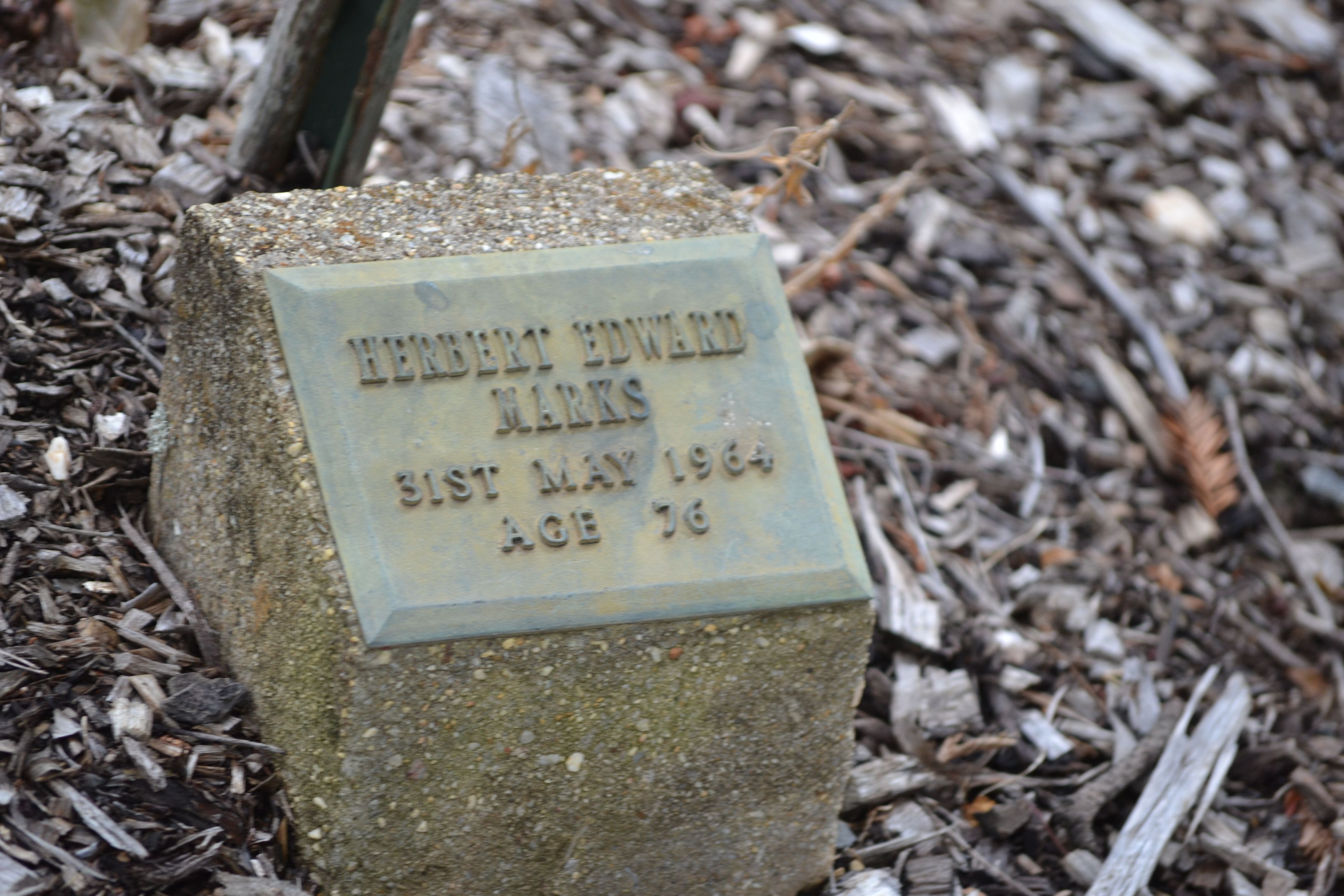 Photo of Herbert Marks