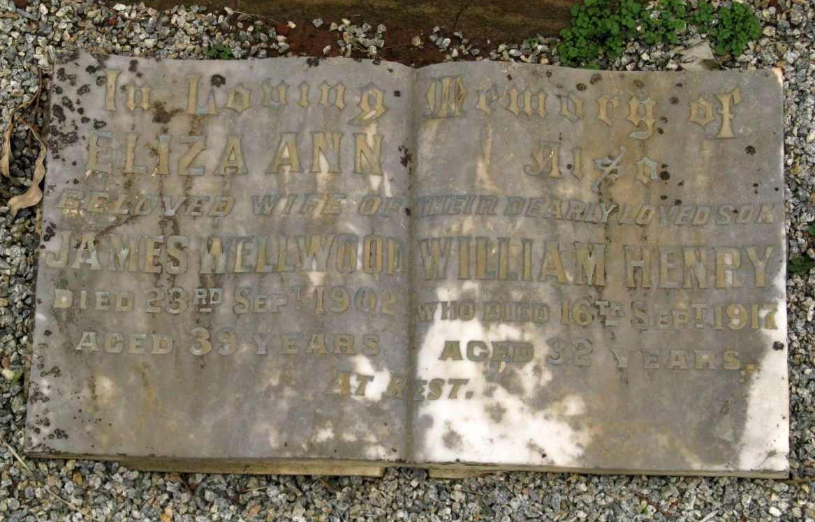 Photo of William Wellwood