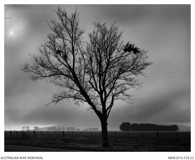 Photo of John Gregan