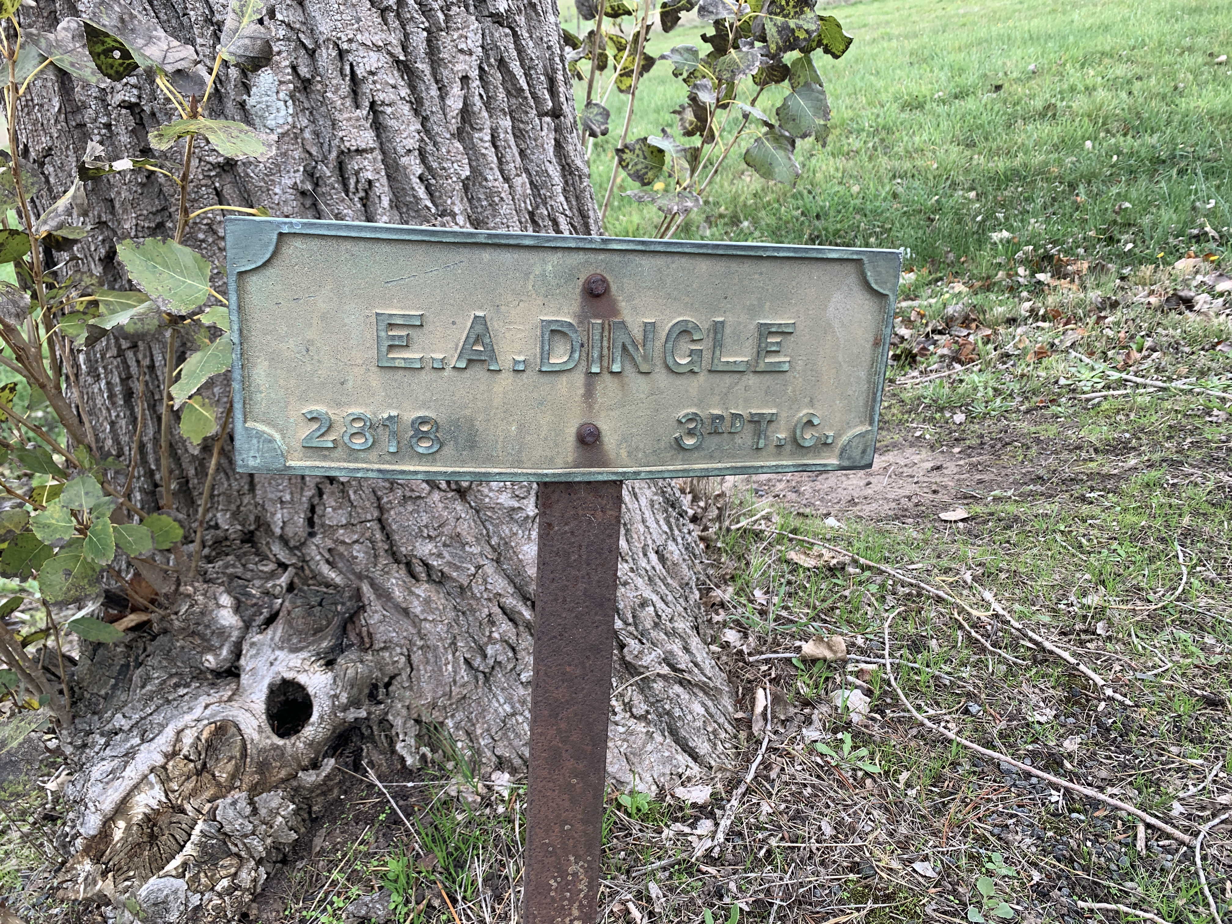 Photo of Edward Dingle