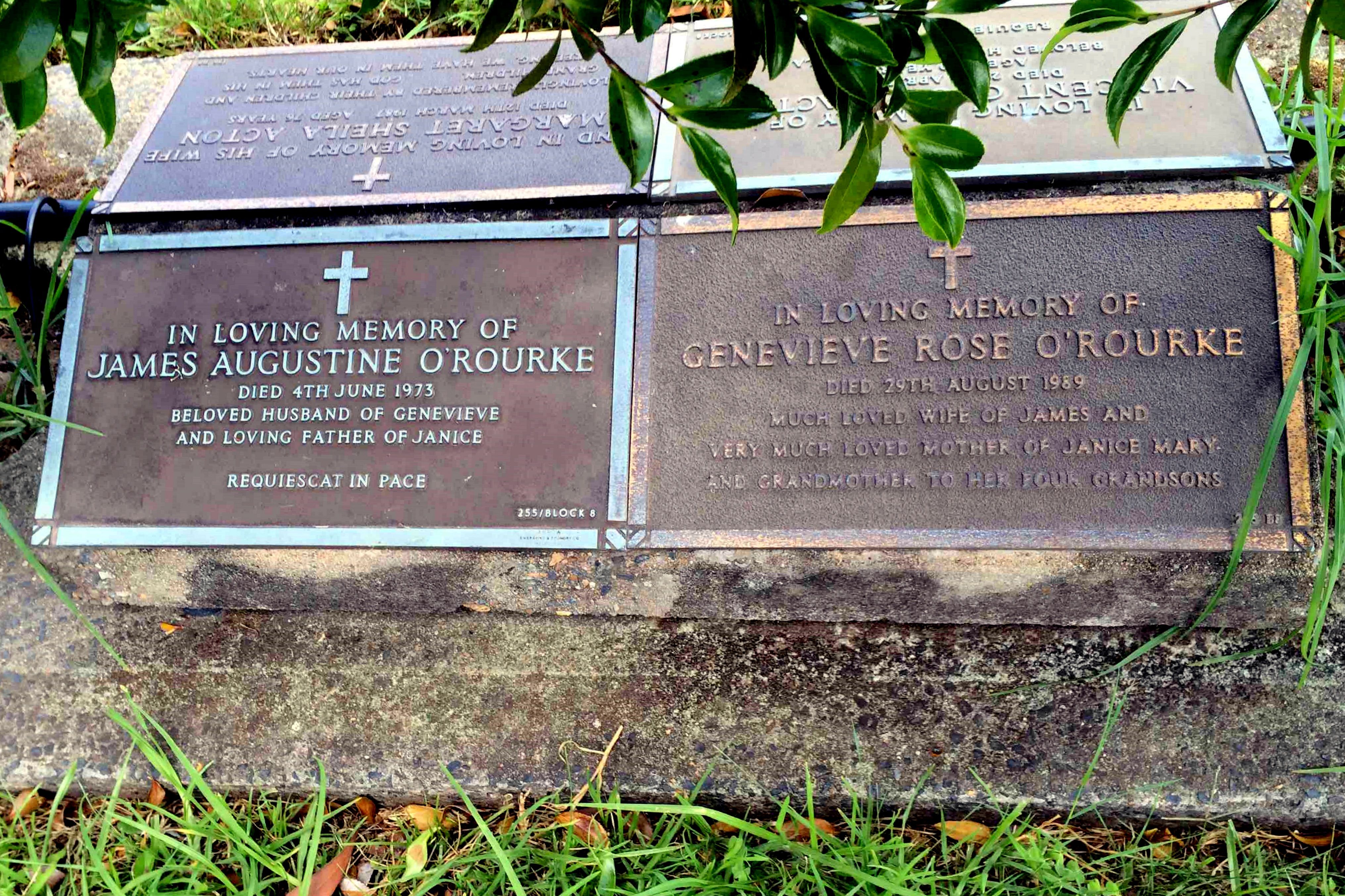 Photo of James A. O'Rourke