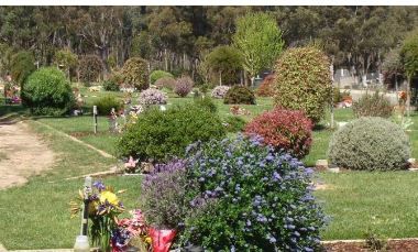 Photo of Leslie Hall