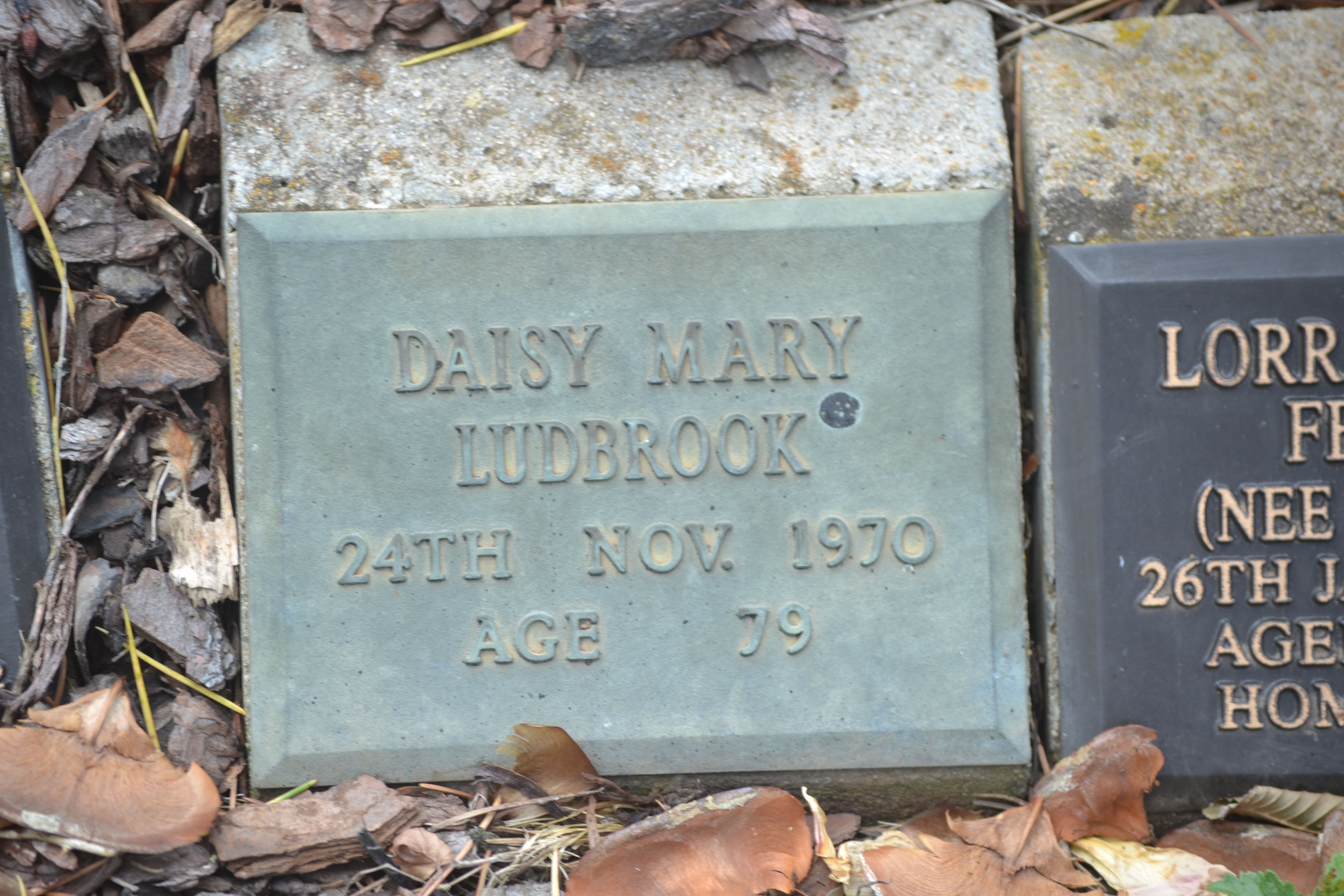 Photo of Daisie Llewellyn