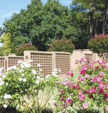 Photo of Arthur Leech