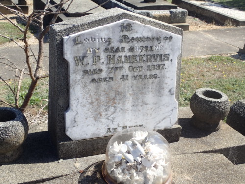 Photo of William Nankervis