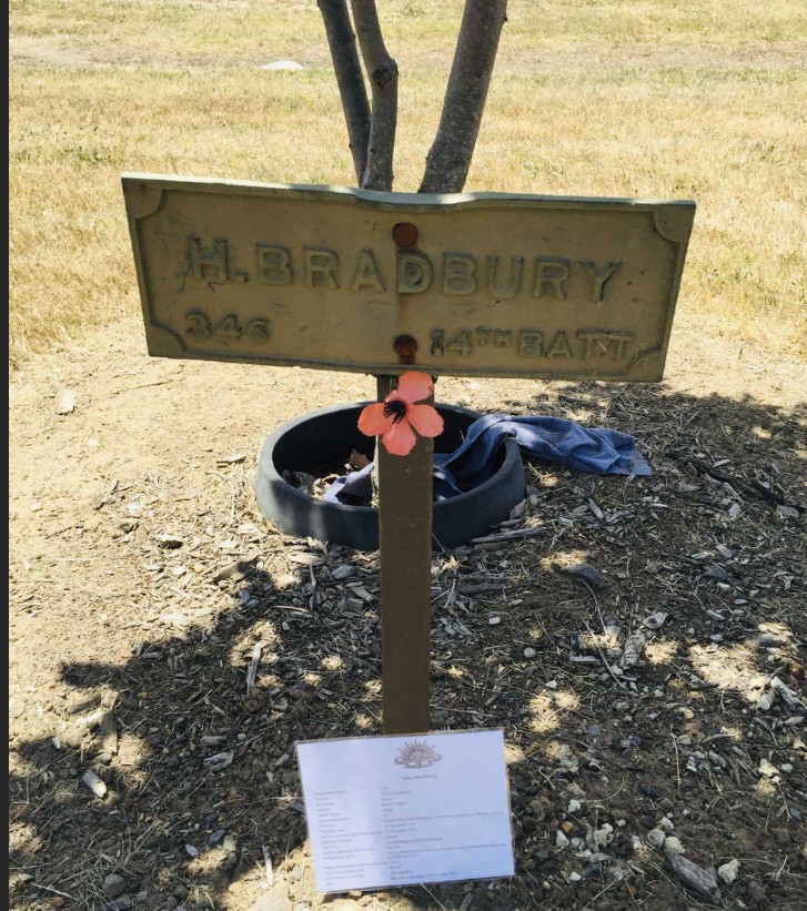 Photo of Harry Bradbury