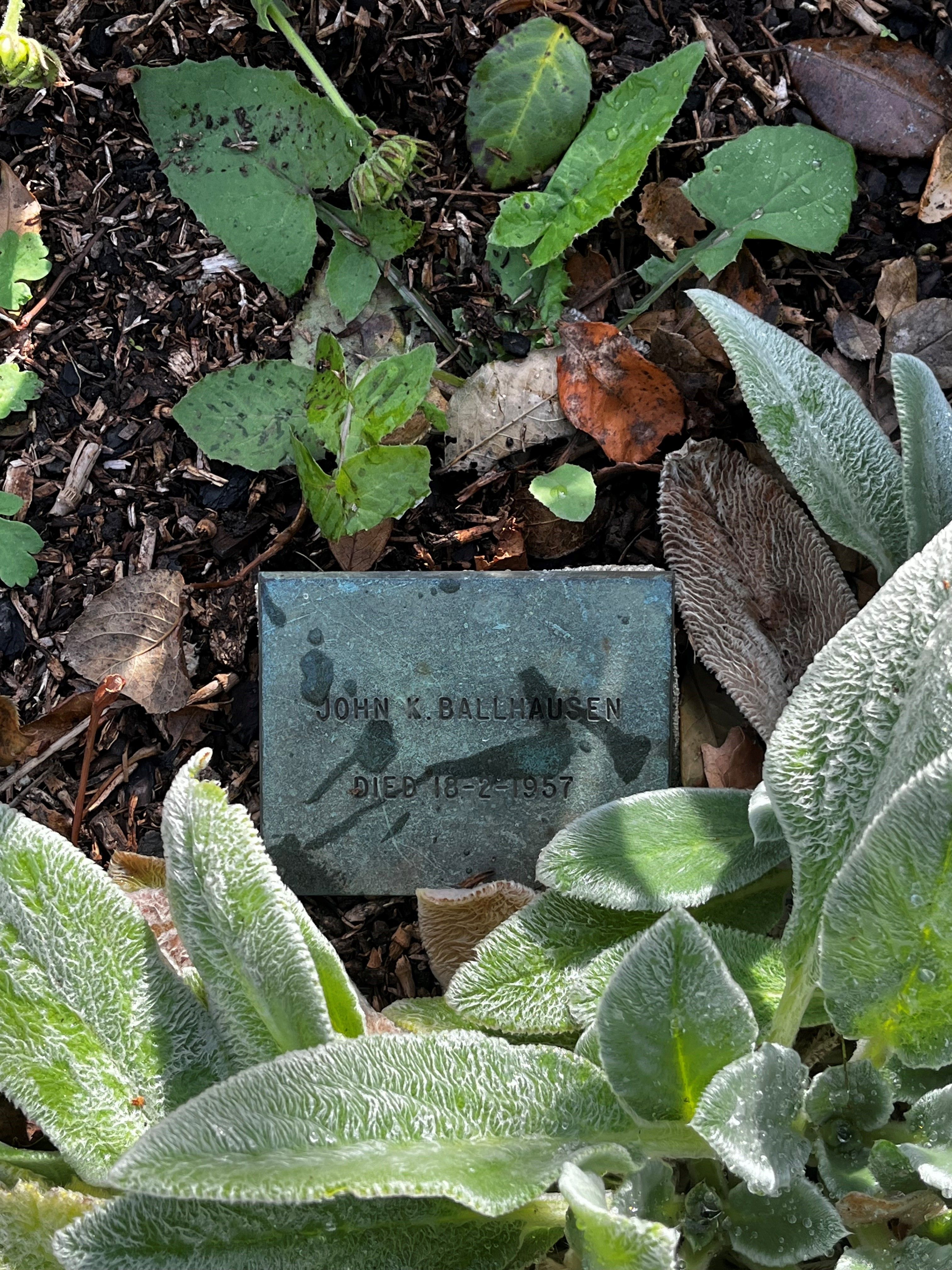 Photo of John Ballhausen