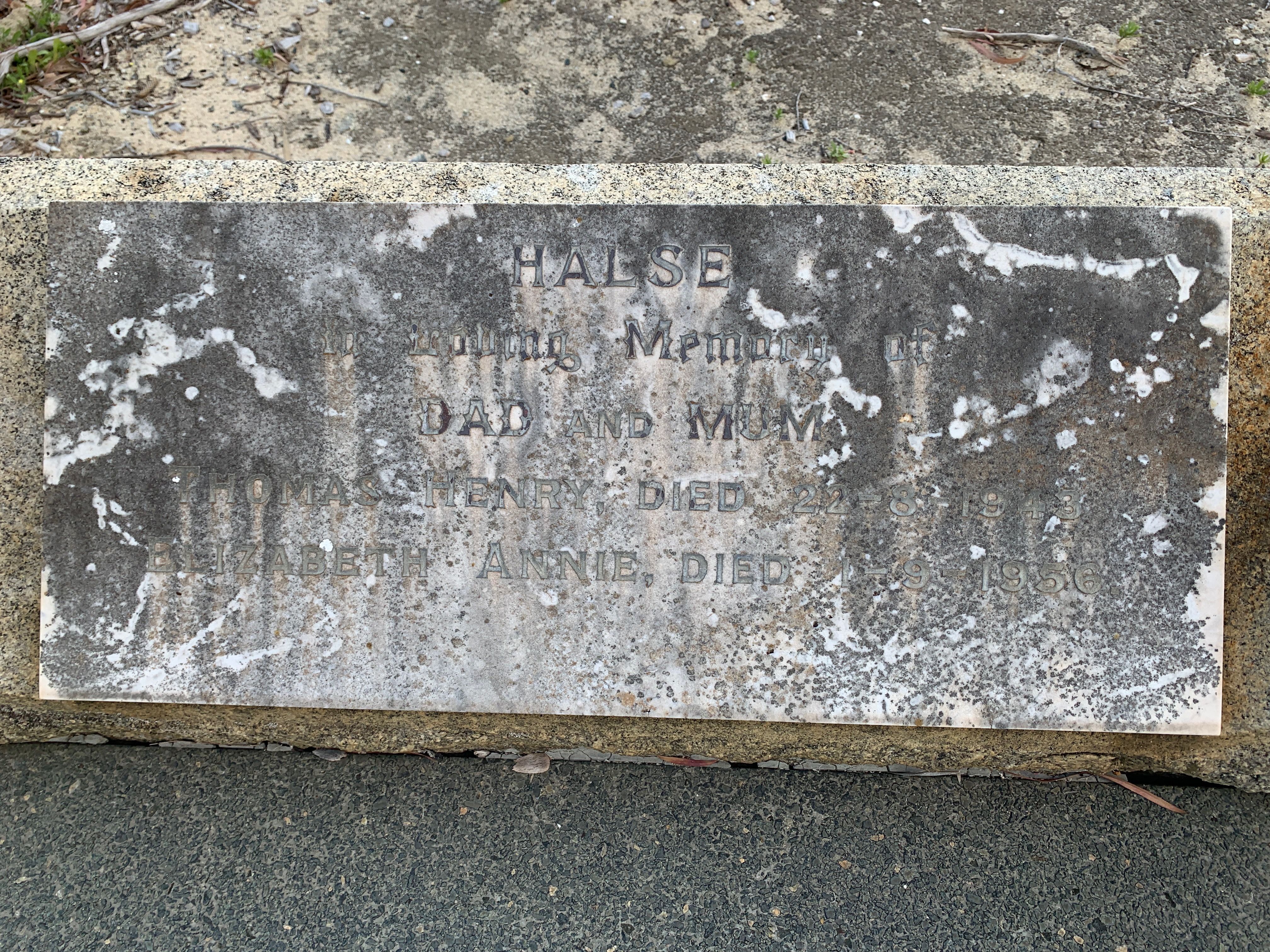 Photo of Thomas H . Halse