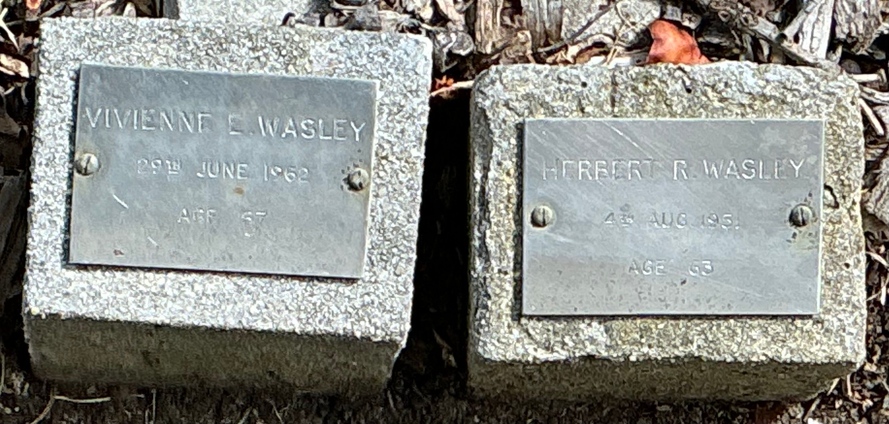 Photo of Herbert Wasley