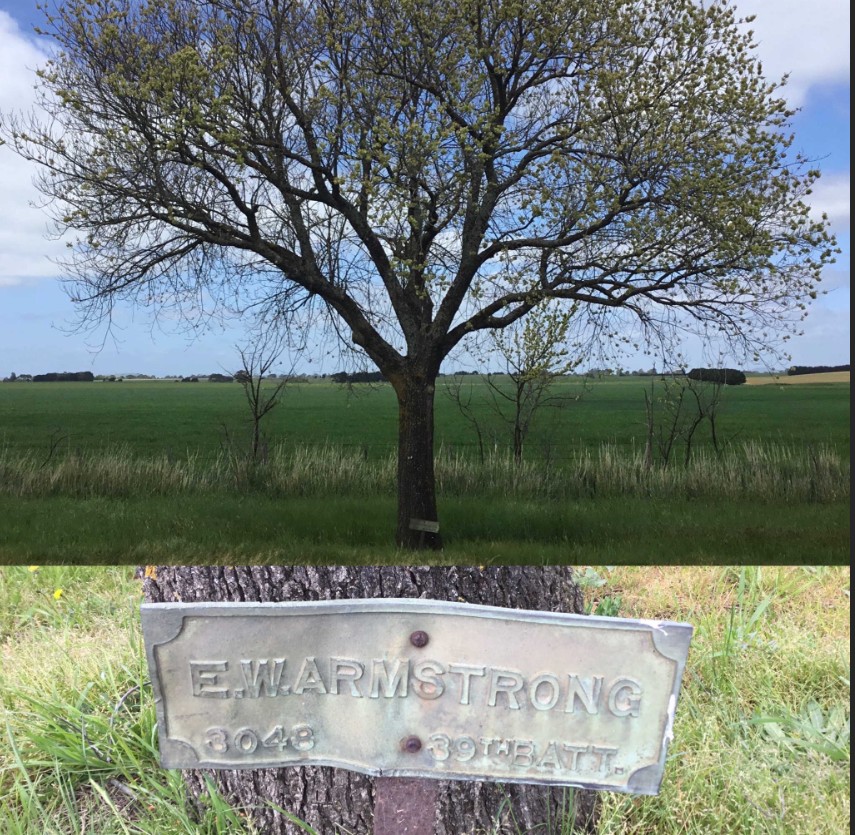 Photo of Ernest Armstrong