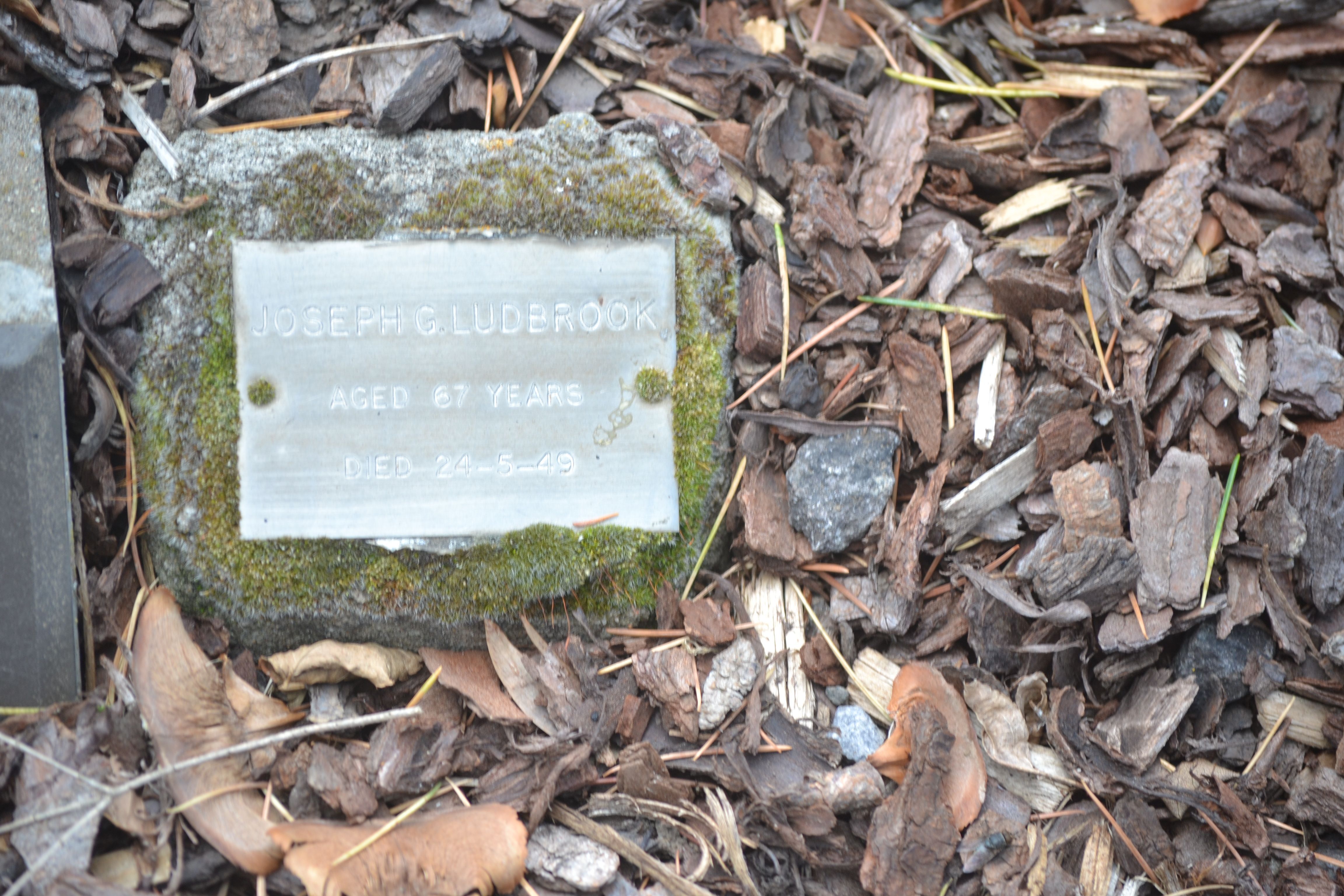 Photo of Joseph Ludbrook