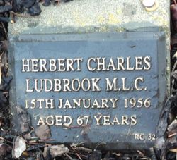 Photo of Herbert C. Ludbrook